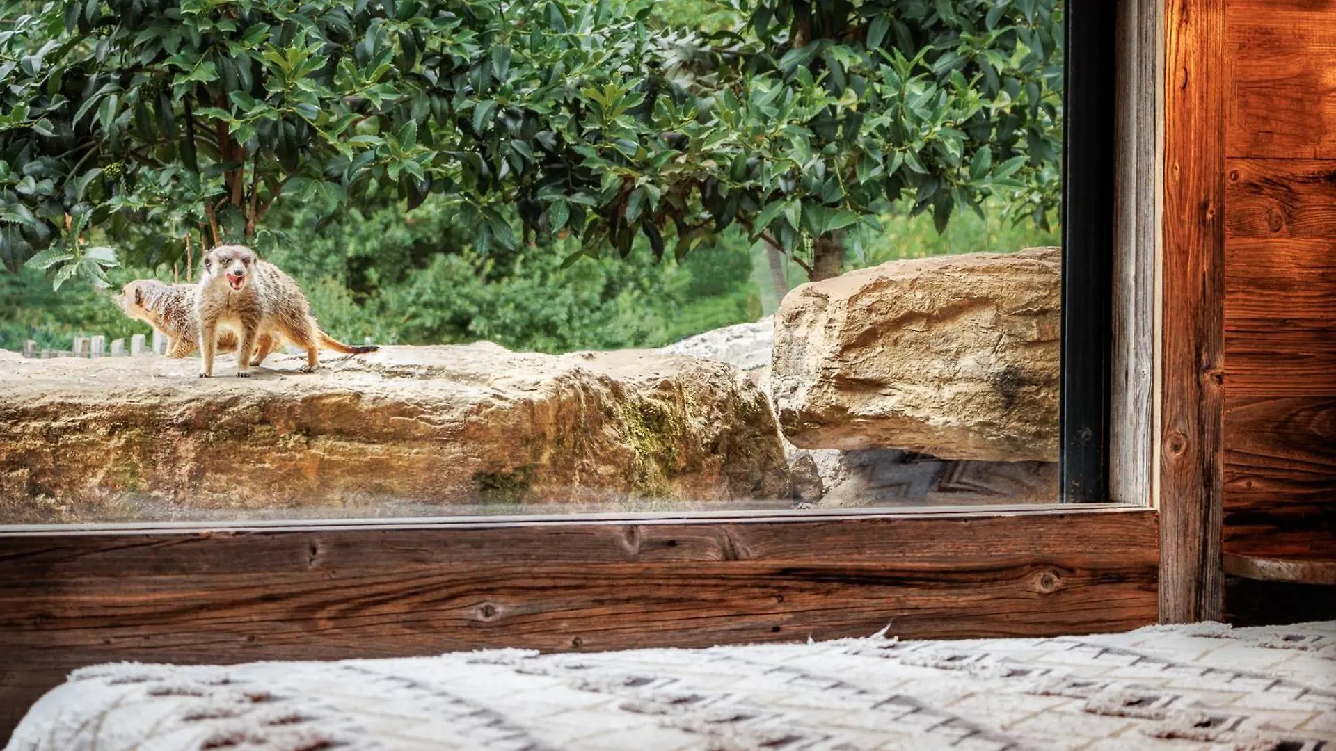 Pyrenees Prestige - Villas D'Exceptions Et Hebergements Insolites Argeles-Gazost France